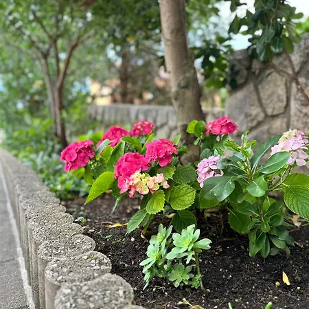 Apartment Fran * Crikvenica